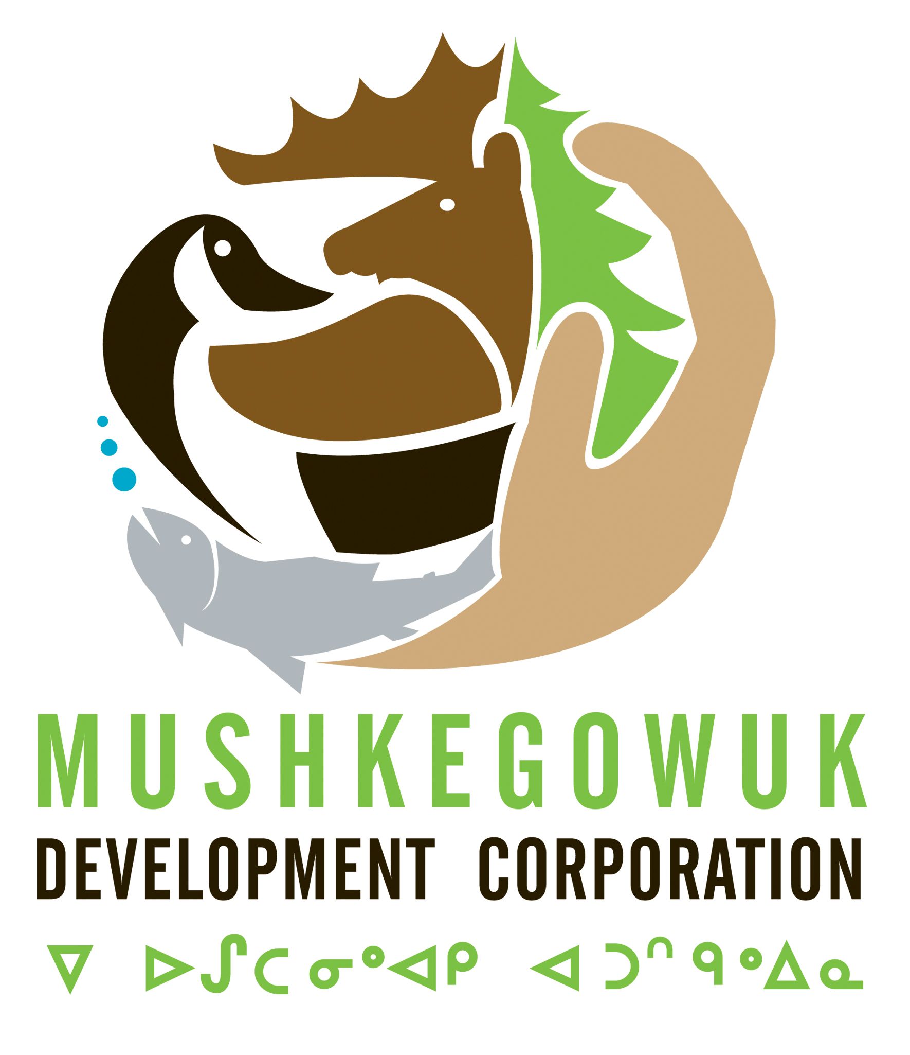 Mushkegowuk Development Corporation