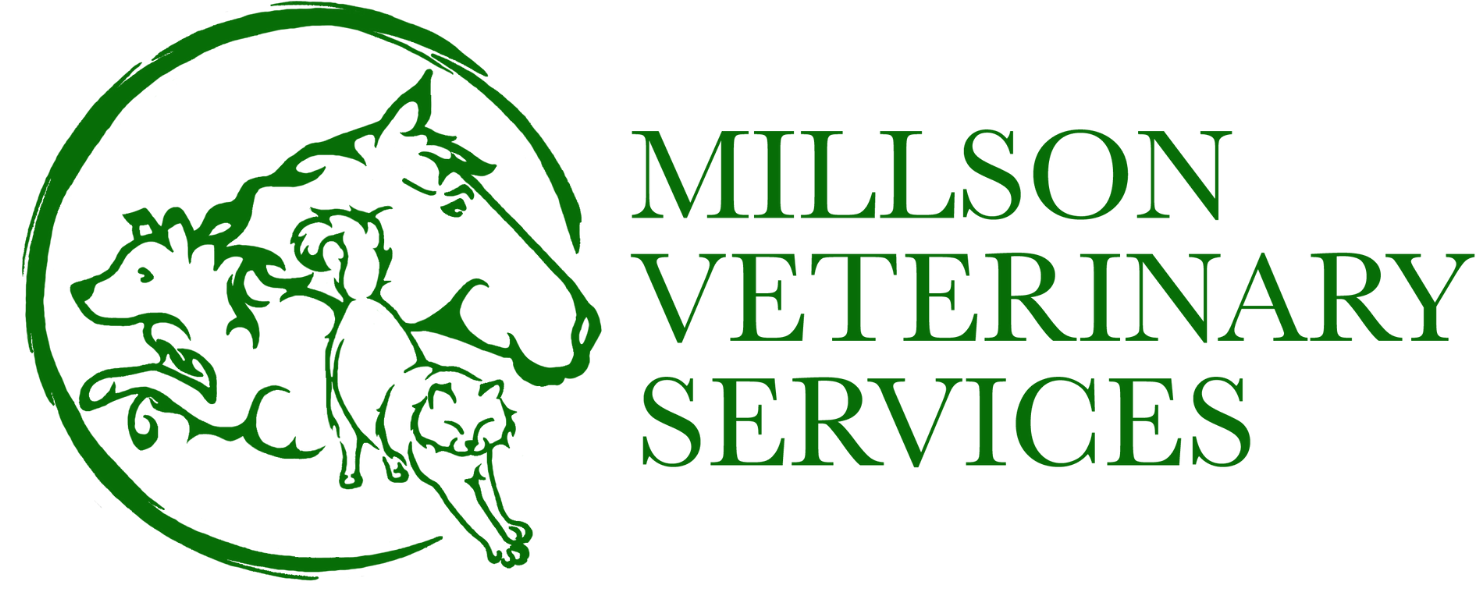 Millson Veterinary Services 