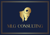 MLG Consulting